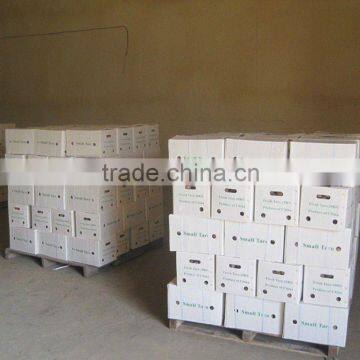 2012 new crop fresh china taro