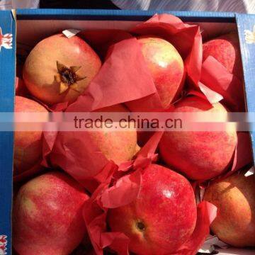 Fresh Pomegranate For Sale photo-6