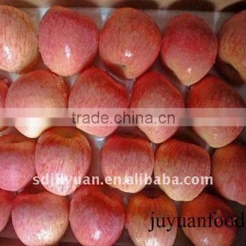 Yantai Fresh Fuji Red Apples