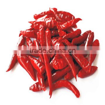 Small Red Chilli