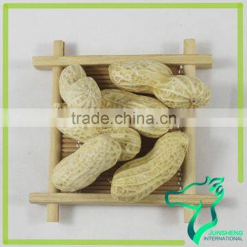 Peanuts In Shell 11/13 Size
