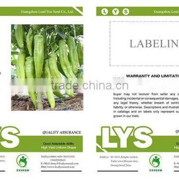 P19 Zhenyu f1 Hybrid Light Green Pepper Seeds in Agriculture photo-2