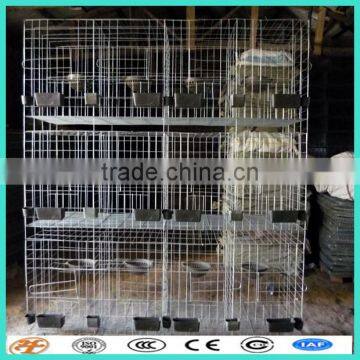 3 tiers 12 doors galvanized 1.88m*56cm layer pigeon cage for saudi arabia