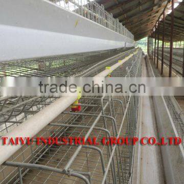 TAIYU Farming Drinker Used in the Cage System and Floor Rearing System