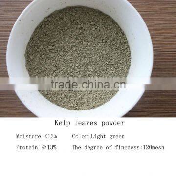 Laminaria Japonica powder ,,kelp/kombu meal seaweed ,aquiculture feed