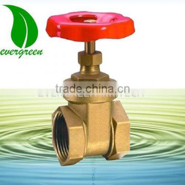 Brass check valve