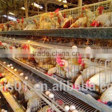 Hot sale! Egg layer chicken cage of poultry equipment