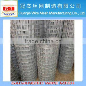 High Quality Low Price galvanized wire mesh (Factory)