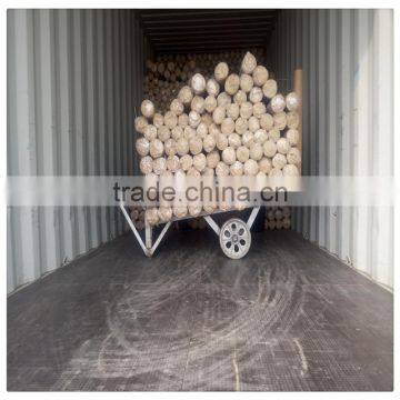High Quality Galvanized 2x2 Galvanized Welded Wire Mesh / Pvc Coated Welded Wire Mesh Factory photo-6