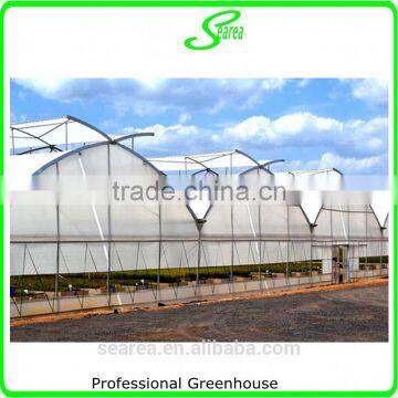 Multispan Tunnel Greenhouse for Strawberry Grape Raspberry , Agricultural Green Houses photo-4