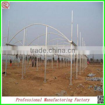 Hot Sale 12m Multi-span Agriculture Plastic Greenhouses for Vegetables photo-6