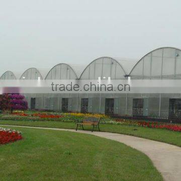 Modern Plastic Film Greenhouse With Steel Skeleton and Hot Drip Galvanized Bolt for Vegetable and Flower Grow for Hot Sale photo-4