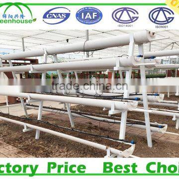 Hydroponic Systems Greenhouse for Agriculture photo-5
