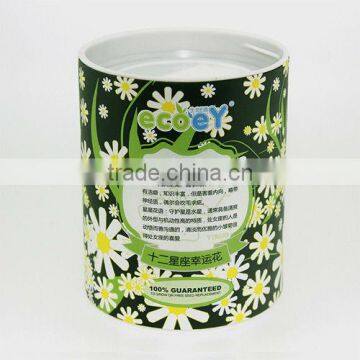 Fashion Twelve constellations lucky flower potted plant -Little Daisy