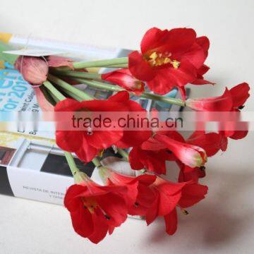 Natural clivia fabric Clivia decorative clivia artificial clivia flower for wholesale