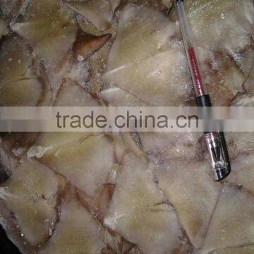 Frozen Gaint Sqiud Wing photo-2