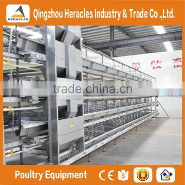 Heracles Factory Price Poultry Equipment Automatic Layer Chicken Egg Cages photo-4