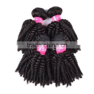 TOP Quality Best Price Fast Delivery Malaysian Afro Kinky Curl Hair Weave photo-6