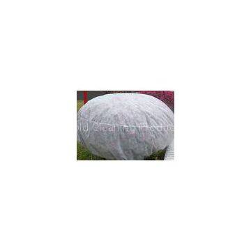 Tear Resistant Spun Bonded Non Woven Fabric for Agriculture and Landscape Industry