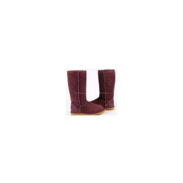 2010 New Style UGG Women's Classic Tall Boots,5815,purple