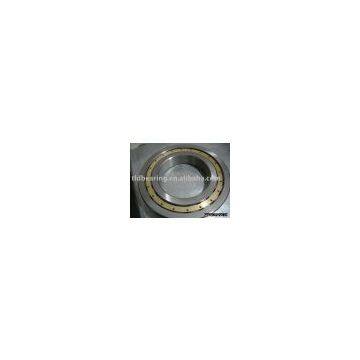 cylindrical roller bearing(NJ)