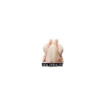 All Kind Of Frozen Whole Chicken