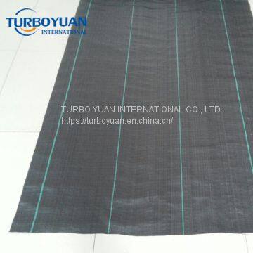 Agricultural Landscape Fabric Plastic Weed Control Mat for Greenhouse photo-2