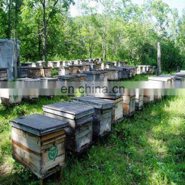 Stainless Steel Honey Processing Machines/Honey Concentrating Plant Machine for Price photo-2