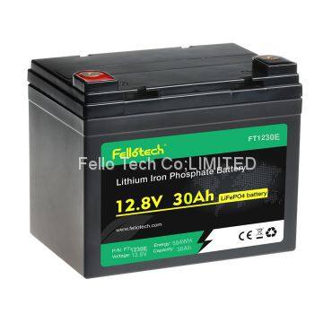 Deep Cycle 12V 24V 48V 100Ah LiFePO4 Battery Pack Replacement Lead Acid Battery photo-2