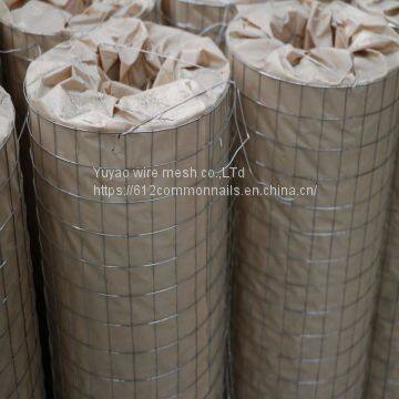 1/2 Inch Galvanized Welded Wire Mesh/pvc Coated Welded Wire Mesh/weled Wire Mesh Fence photo-2