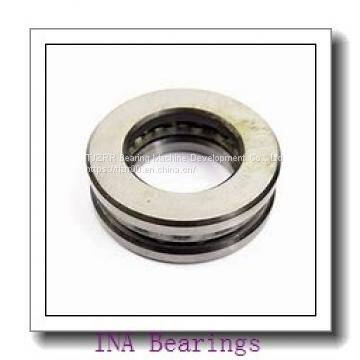 INA TSHE40-N INA Bearing