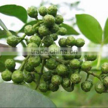 supply green peppercorn from China sichuan