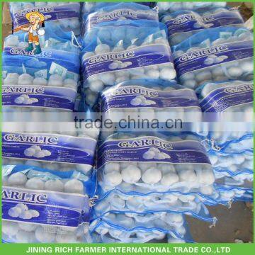 Fresh Vegetables Wholesale Import China Cold Storage Garlic