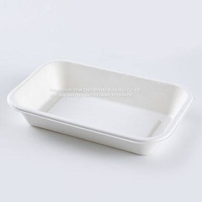 New Hot Disposable Biodegradable 24OZ TRAY Bagasse Food Box Take Away Sugarcane Container photo-2