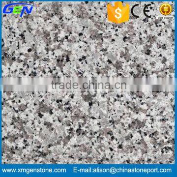 Factory Supply Polished Bala Flower Granite For Sale