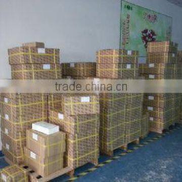 Friction Stay JW8002