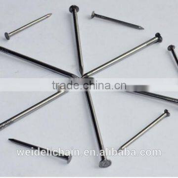 Galvanized Concrete Nail/Common Wire Nail / Roofing Nails photo-4
