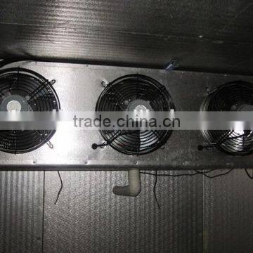 Walk-in Freezer Chiller Room