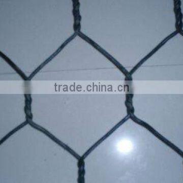 PVC Coated Hexagonal wire mesh(manufacturer)