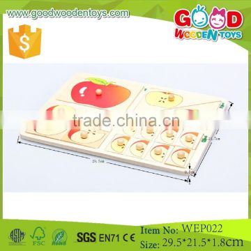 China Factory Wholesale Apple Puzzle Wooden IQ Puzzle