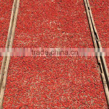 2015 Goji Berry,bulk Sale for Export photo-3