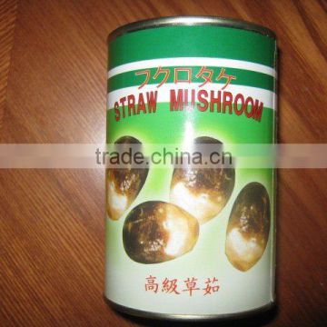 STRAW MUSHROOM