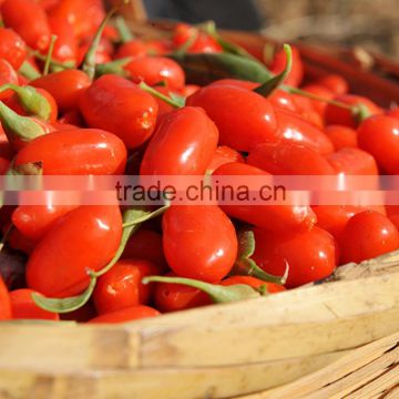 FDA registered USA organic goji berries wholesaler