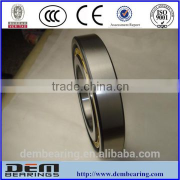 China bearing cylindrical roller bearing N208