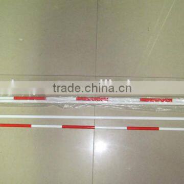 Newly Custom Made Removable Fiber Post for Volleyball