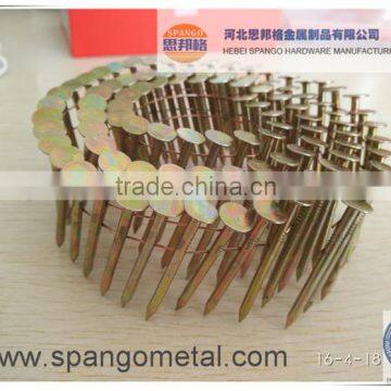 Galvanized coil nails/high quality/