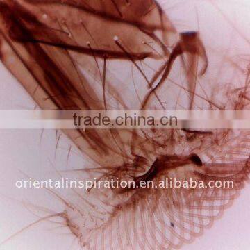 video microscope 9.0 mega 200x high resolution digital microscope