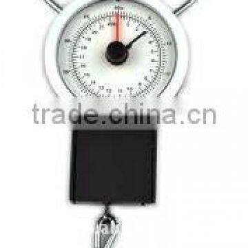 Baggage Scale