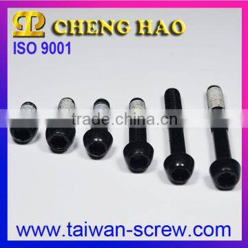 Stock Cleaning Black Zinc-Plated Socket Button Head Screw