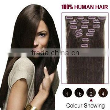 one clip in human hair extension